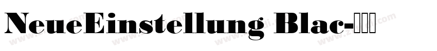 NeueEinstellung Blac字体转换